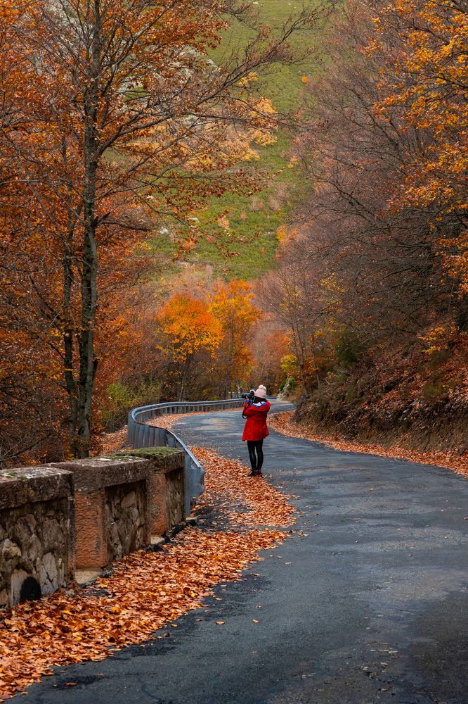 Фотография автора Sandra