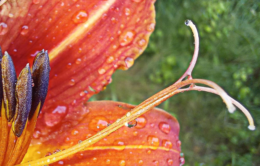 Photograph by Ирина Архипова