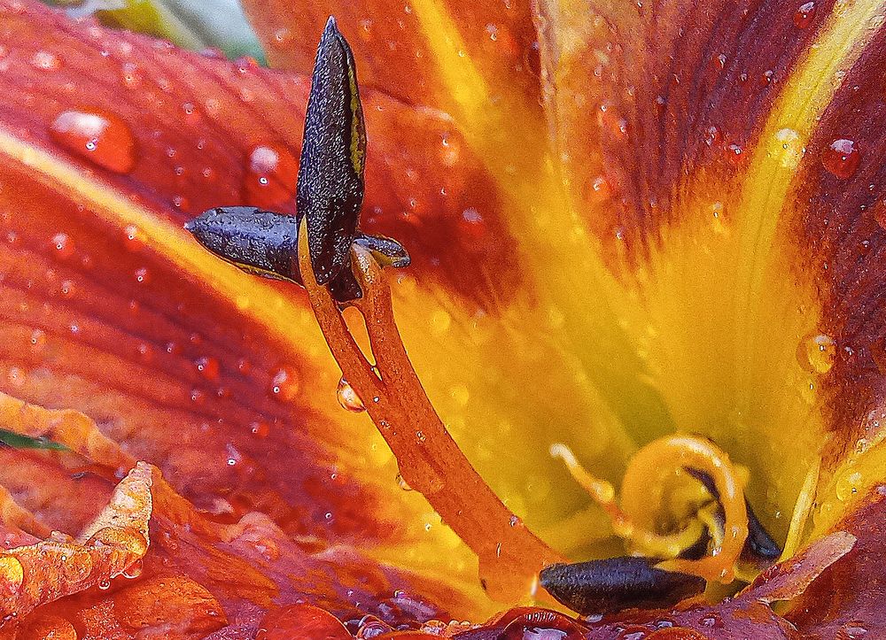 Photograph by Ирина Архипова