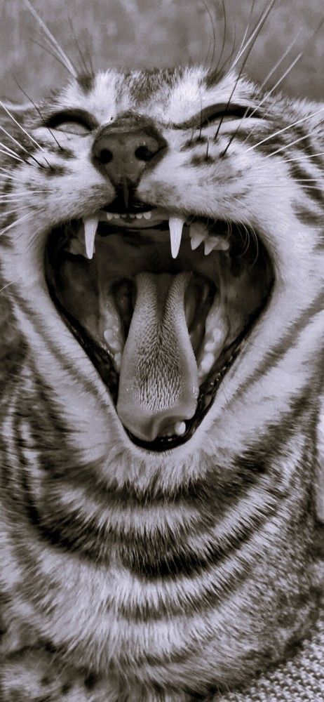 Photograph by Елена Ляпина