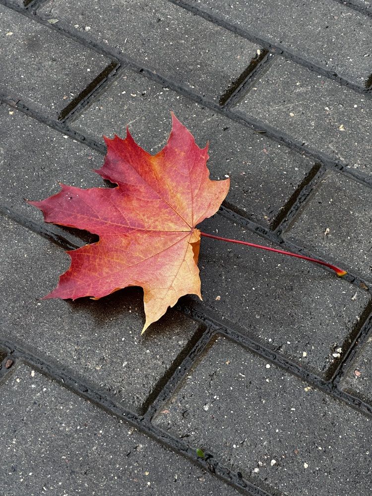 Photograph by Рина Серёгина