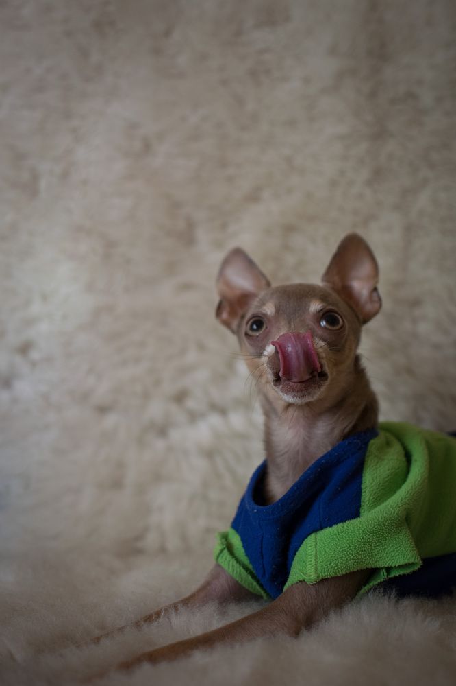 Photograph by Сидоренко Оксана