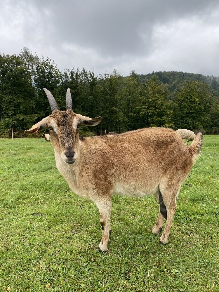 Photograph by Сидоренко Оксана