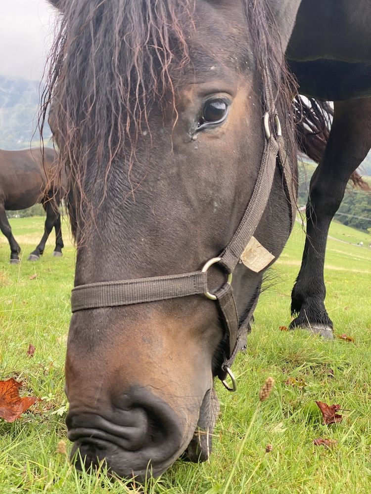 Photograph by Сидоренко Оксана