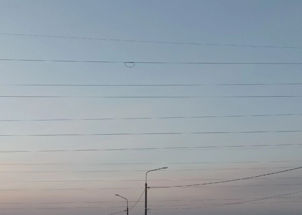 Photograph by Татьяна Овчинникова