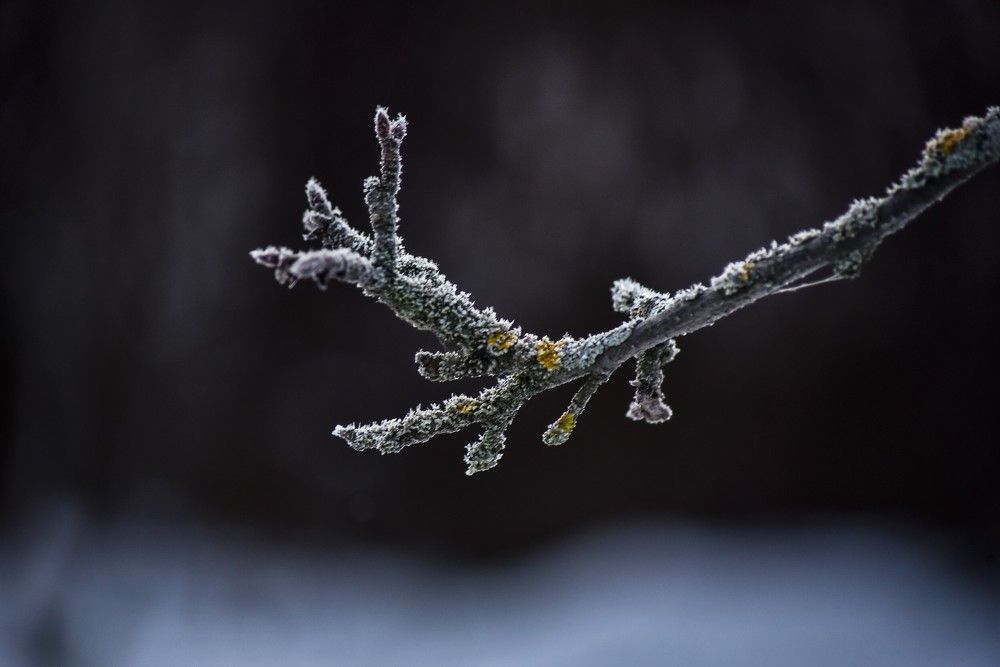 Photograph by Юлия Жданова