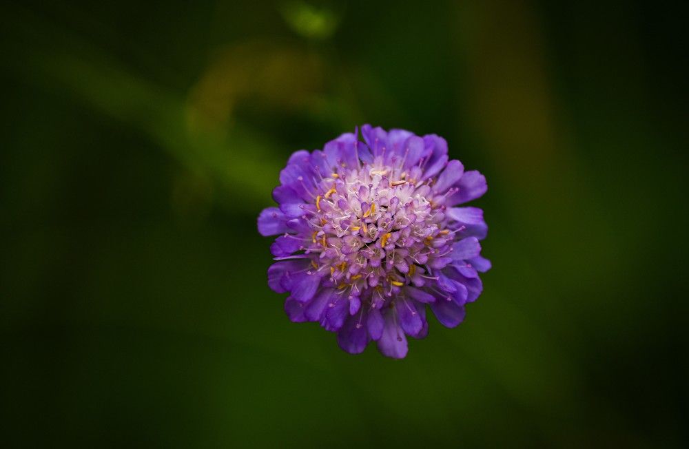 Photograph by Юлия Жданова