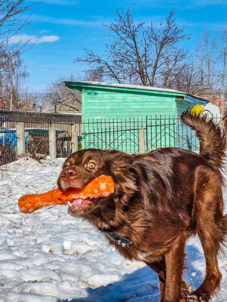Photograph by Андрей Баталов