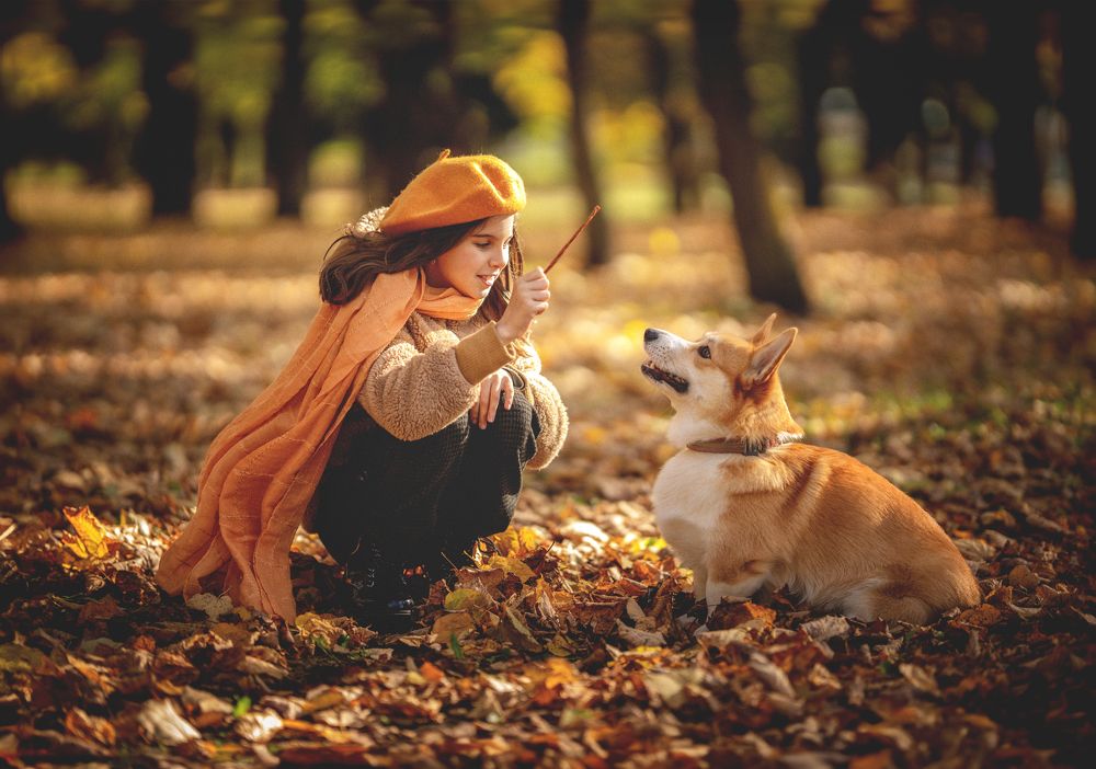 Фотография автора Elena Budanova