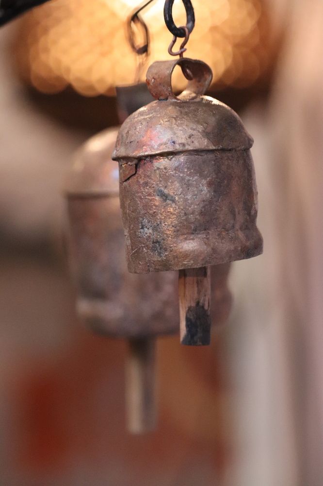 Фотография автора Sonali Mahakal