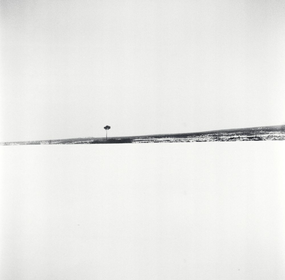 Photograph by Aliaksei Shandalin