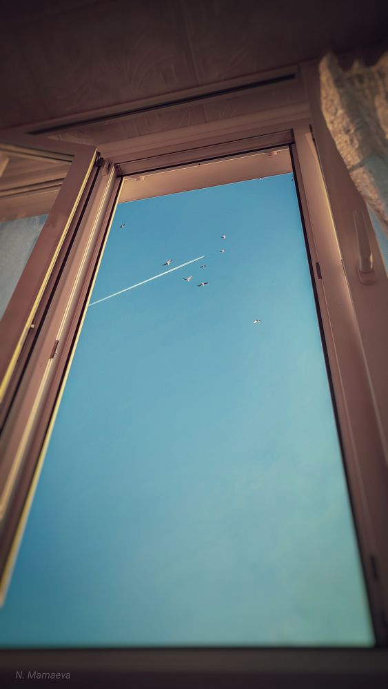 Фотография автора Анастасия Мамаева