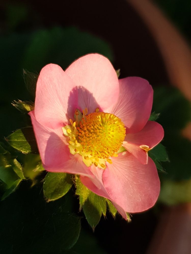 Photograph by Елена