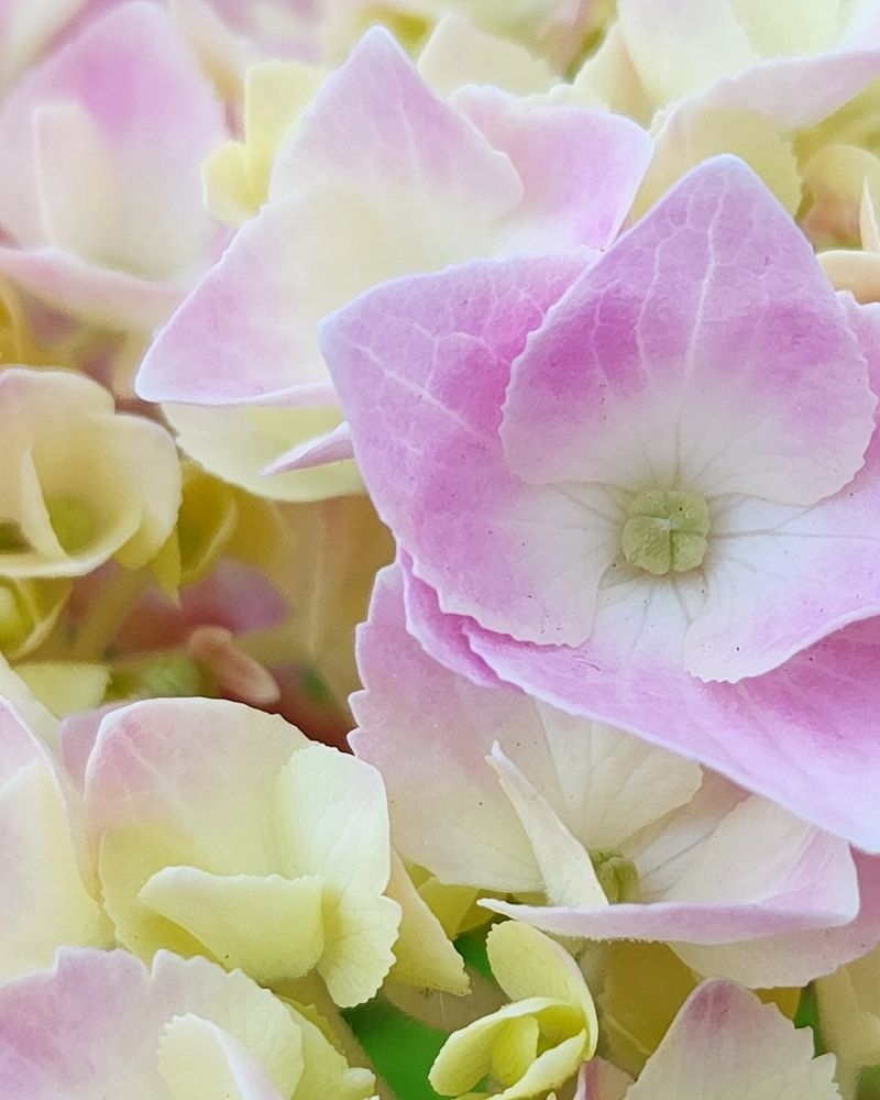 Photograph by Ольга