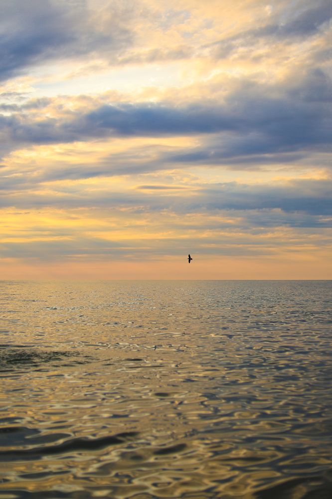 Photograph by Наталья Малышева