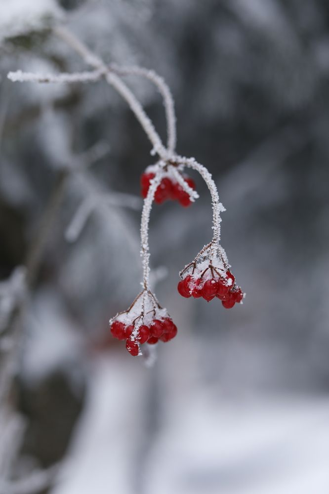 Photograph by Наталья Малышева