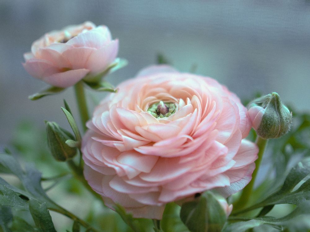 Photograph by Александра