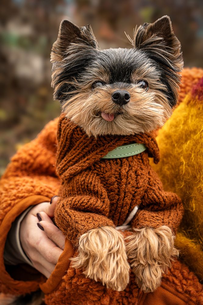 Photograph by Ирина Остапенко