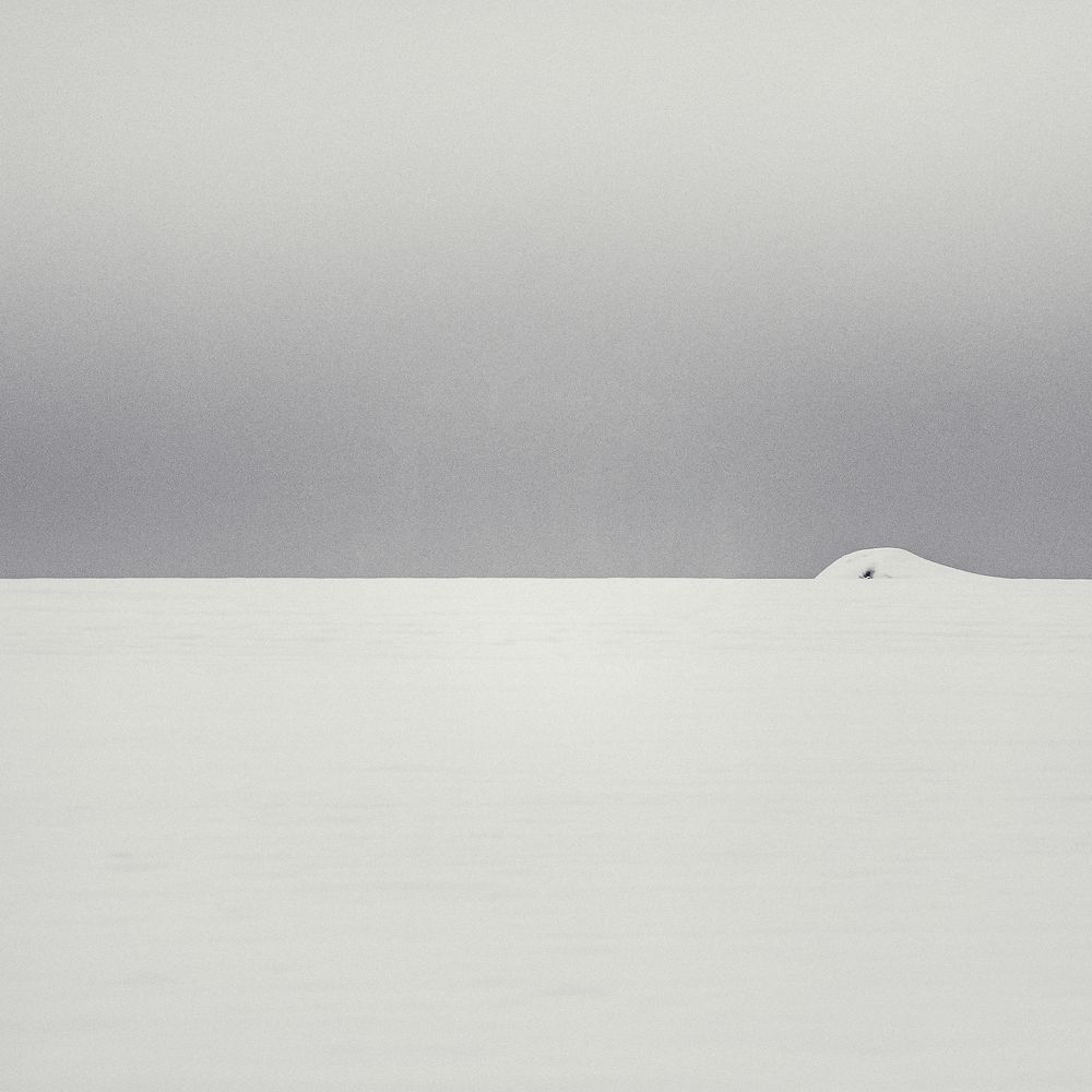 Photograph by Aliaksei Shandalin