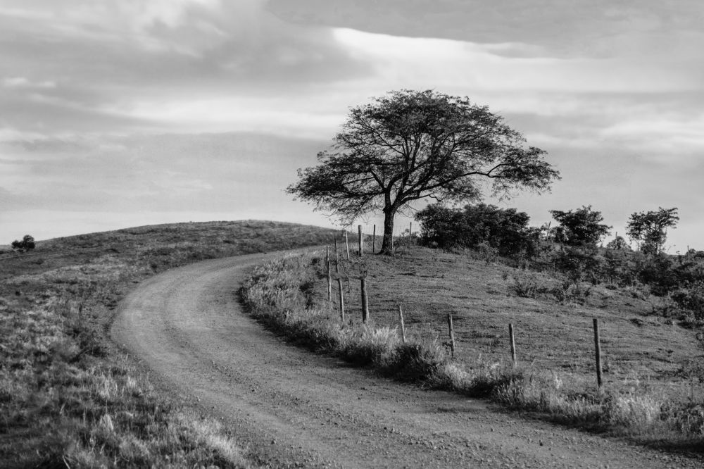Photograph by Sergio Norberto pagliarini júnior