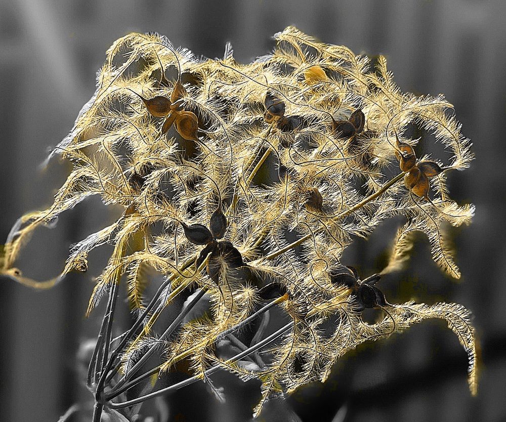 Photograph by Михаил Свиденцов