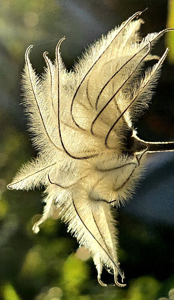 Photograph by Михаил Свиденцов