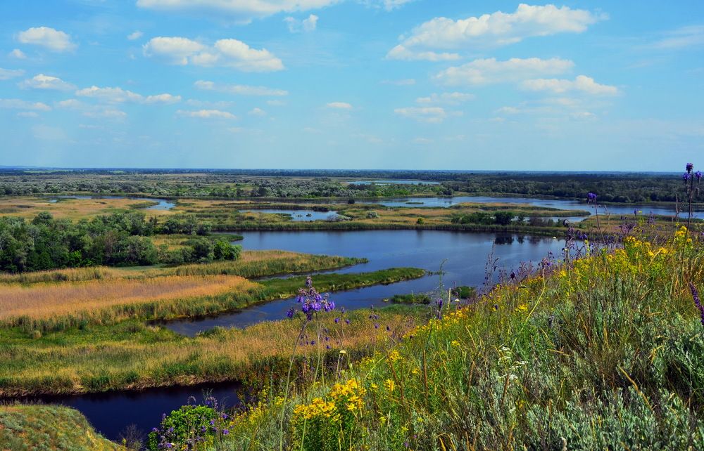 Фотография автора ВЛАДИМИР Тертышник