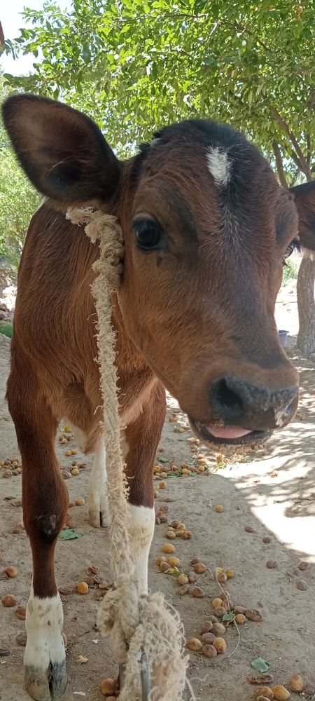Photo #9751206