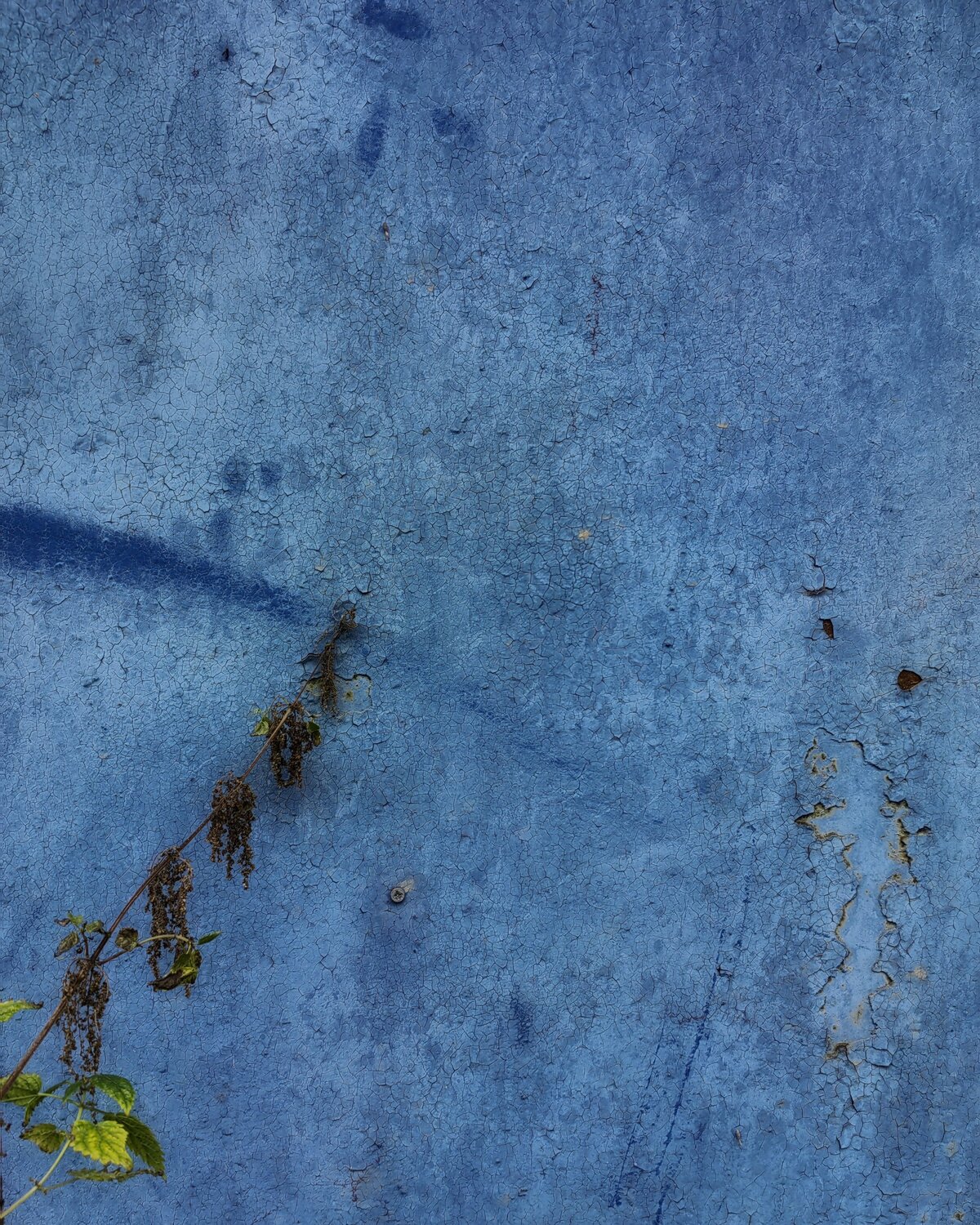Photo #9751212