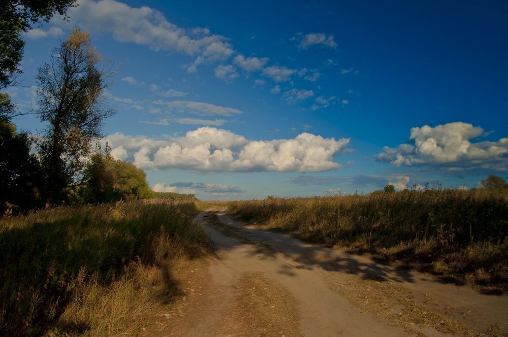 Photograph by Дмитрий Жуков