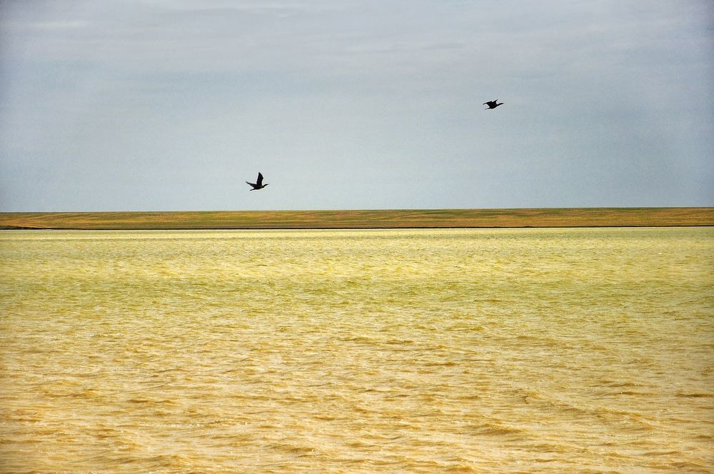 Photograph by Мария Кобыльченко