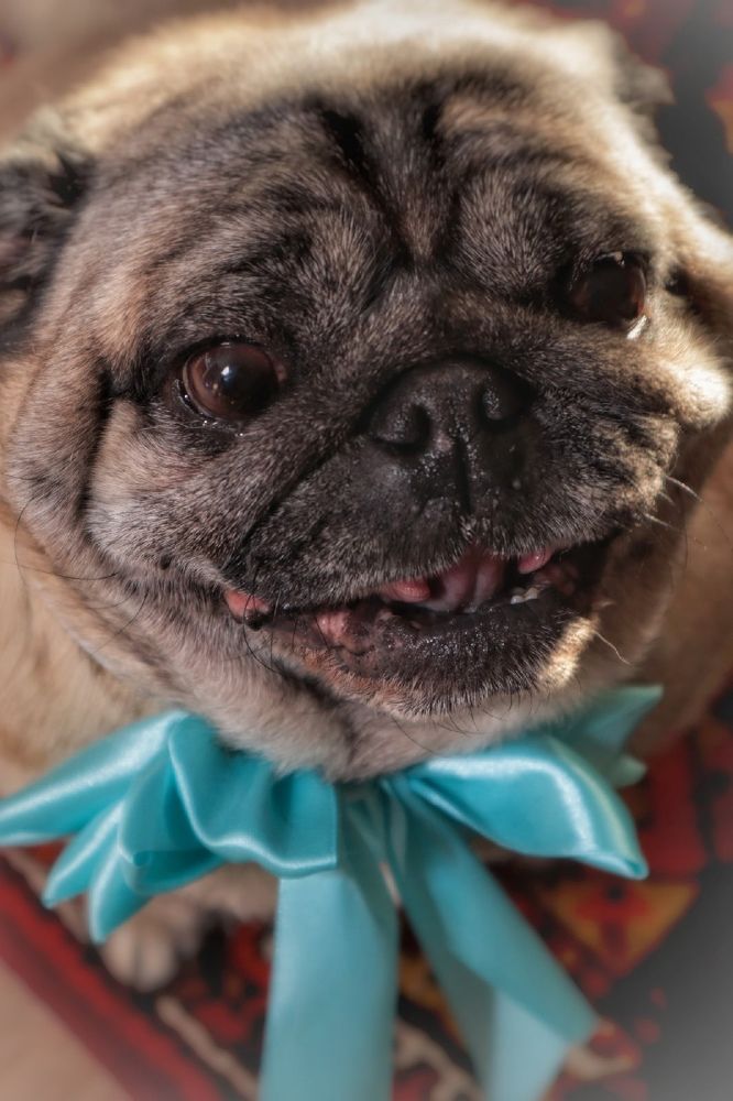 Photograph by Екатерина Ефимова