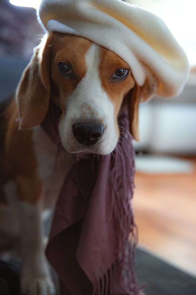 Photograph by Екатерина Ефимова