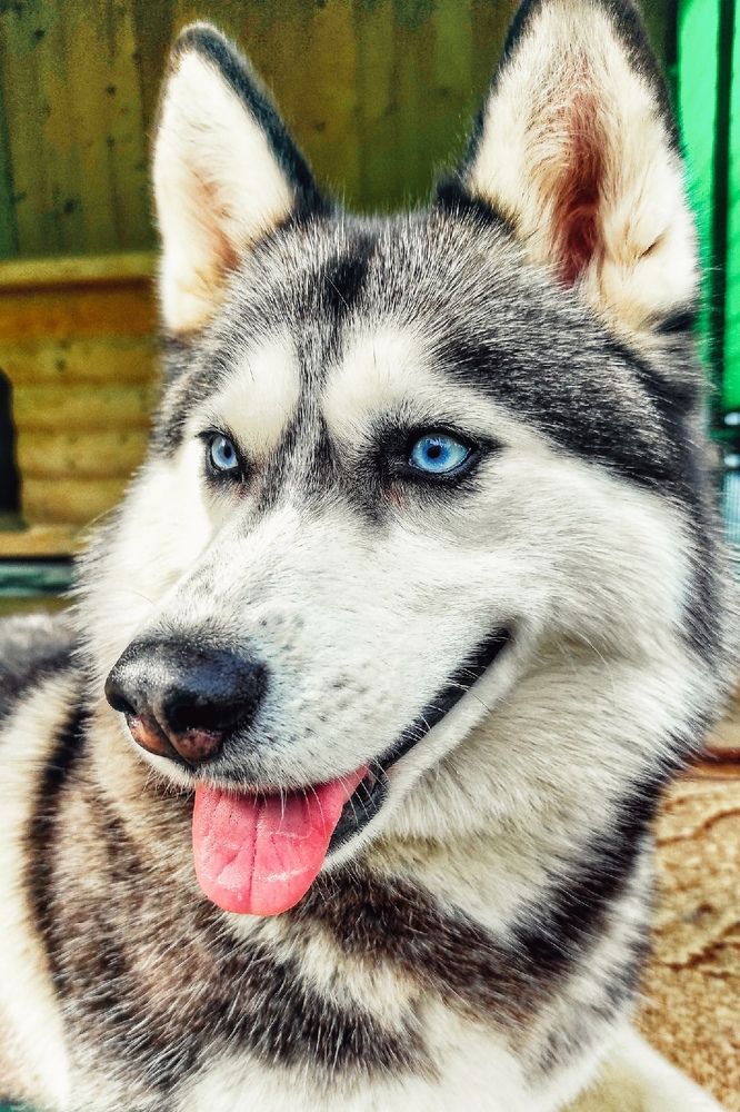 Photograph by Екатерина Ефимова