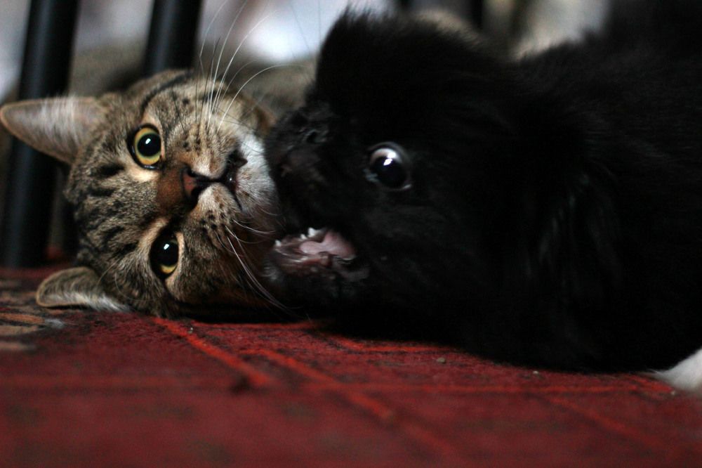 Photograph by Ксения Любченко