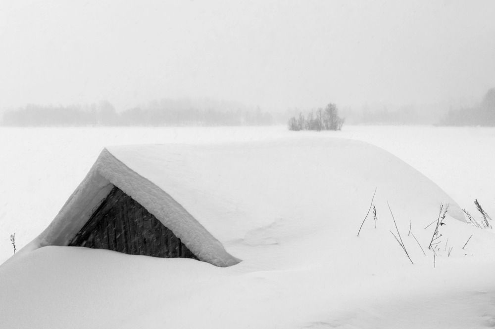 Photograph by Крицак Ольга