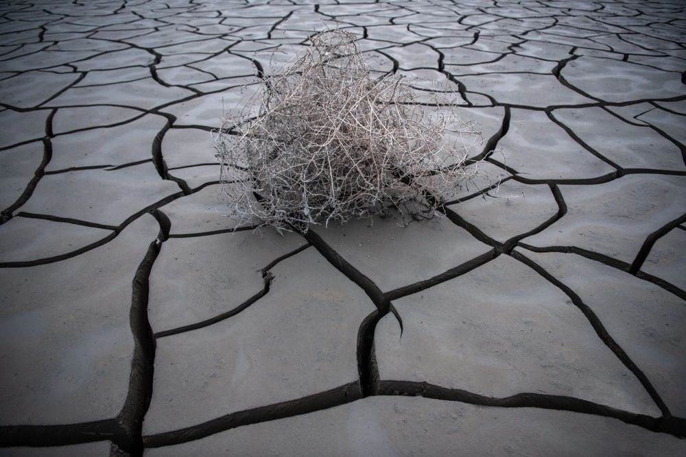 Photograph by Крицак Ольга