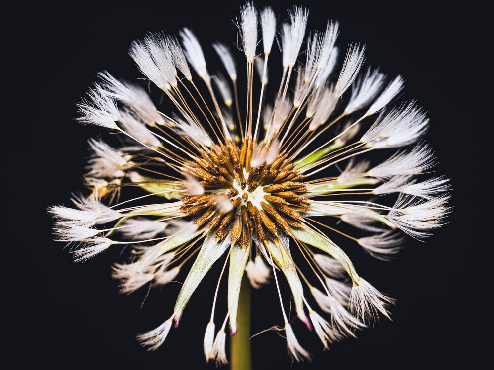 Photograph by Gevork Gukasyan