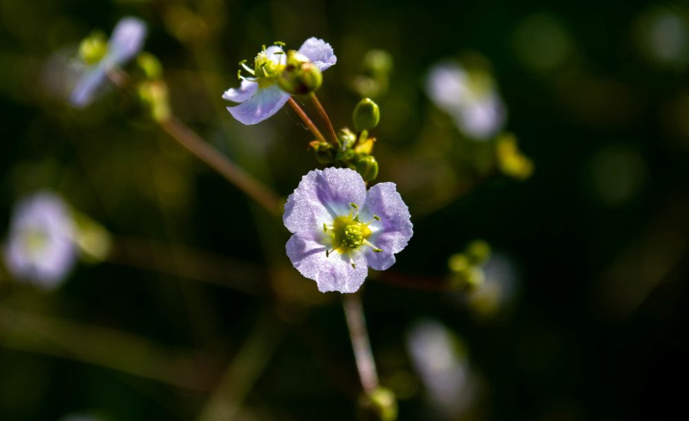 Photograph by Лариса Натальская