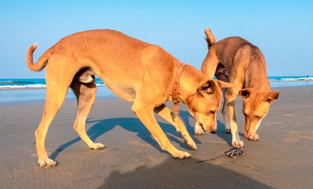 Фотография автора Людмила Прокофьева