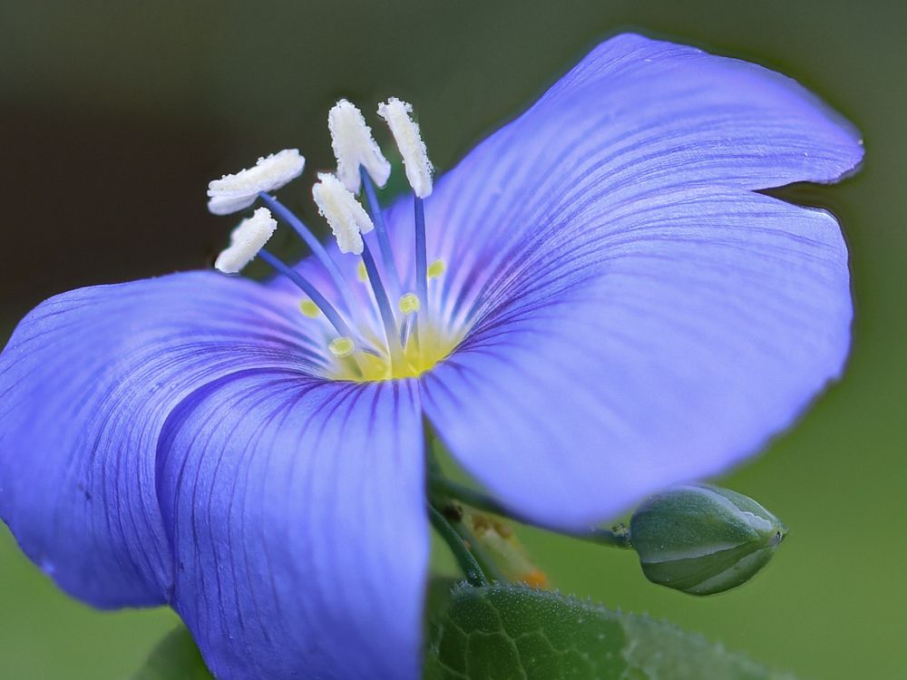 Photograph by Надежда Зайцева