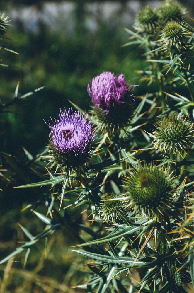 Photograph by Виктория Куликова