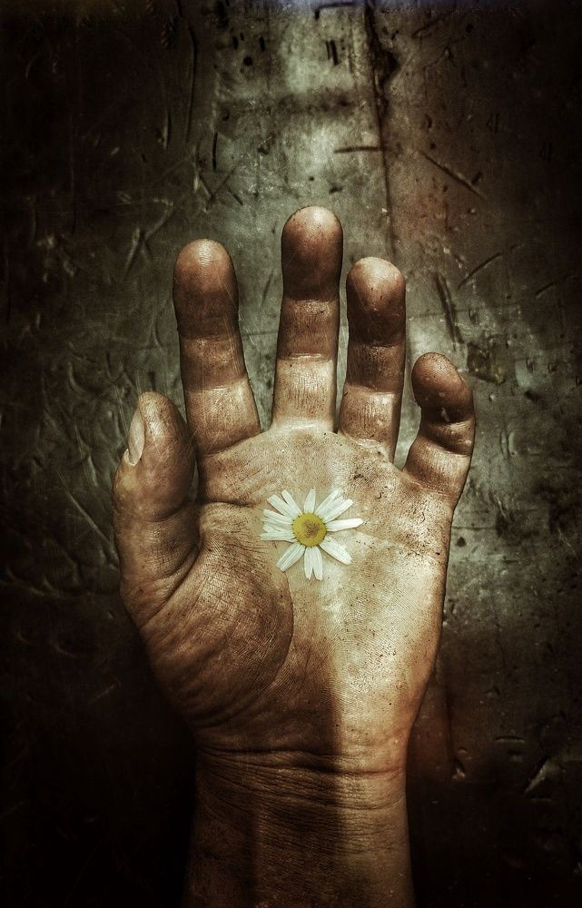 Photograph by Евгений Белов