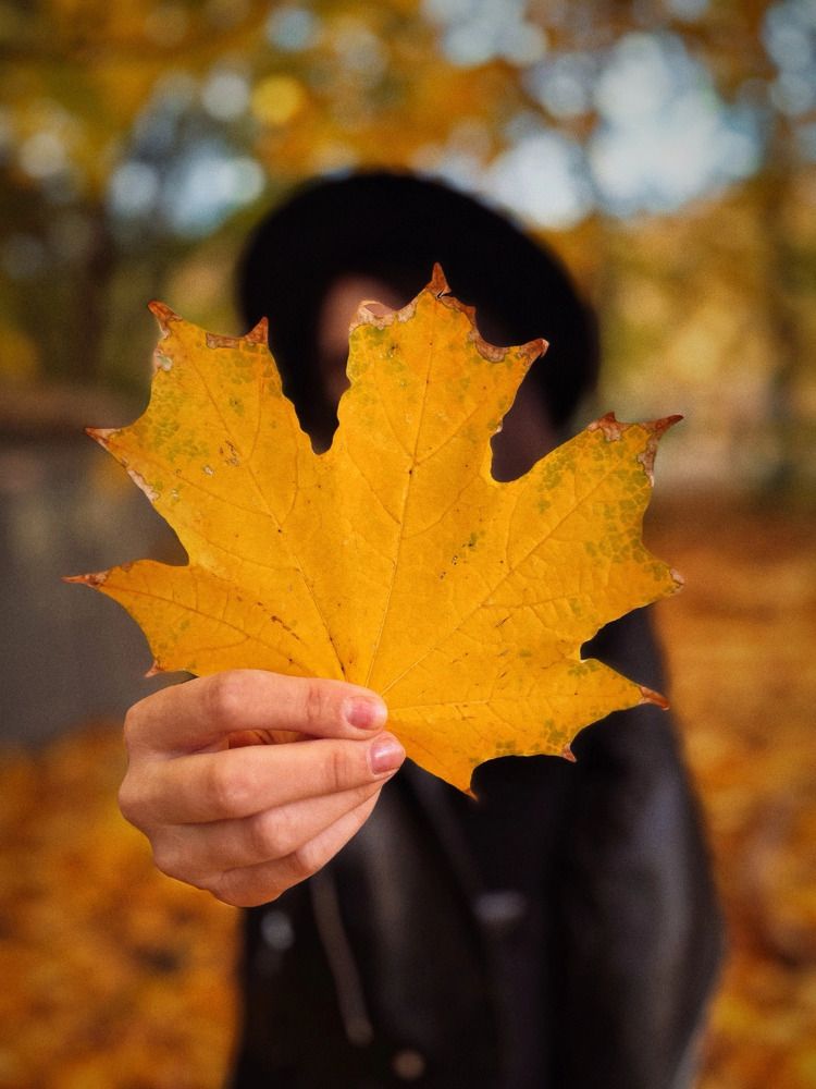 Photograph by Анна Бондаренко
