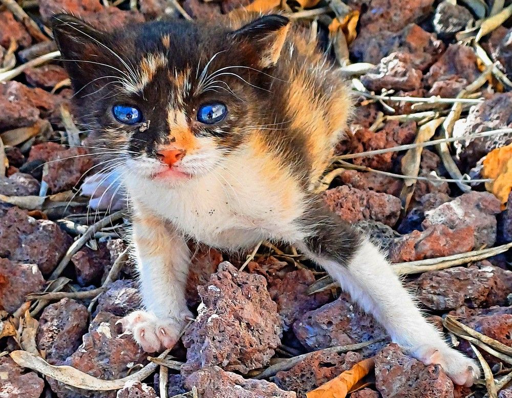 Photograph by Сергей Рапопорт