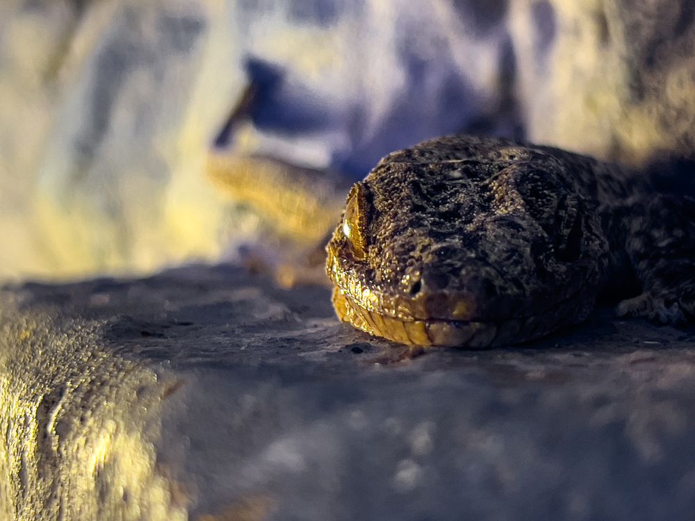 Photograph by Olga Filatova