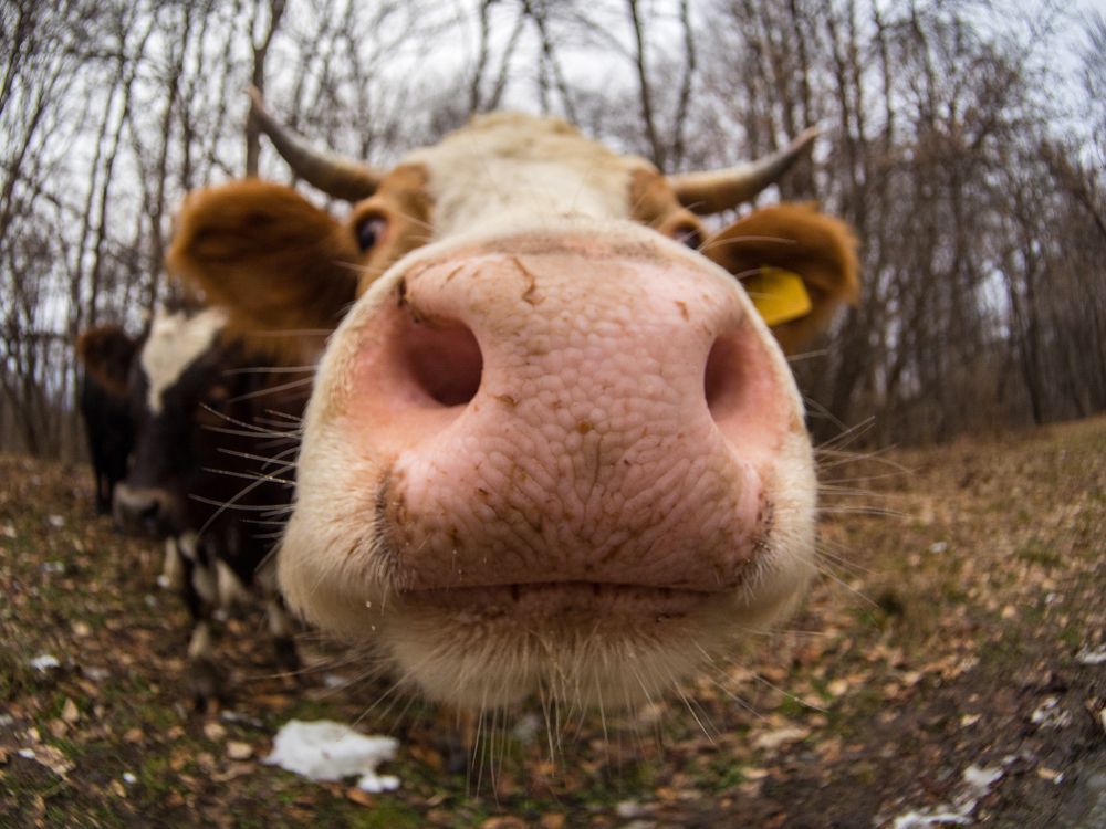 Photograph by Антон Данилов