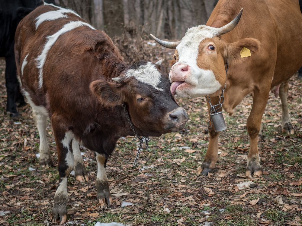 Photograph by Антон Данилов