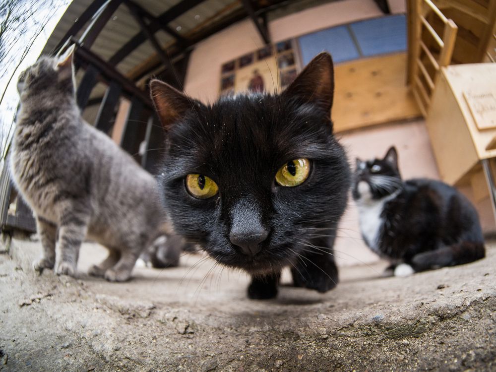 Photograph by Антон Данилов