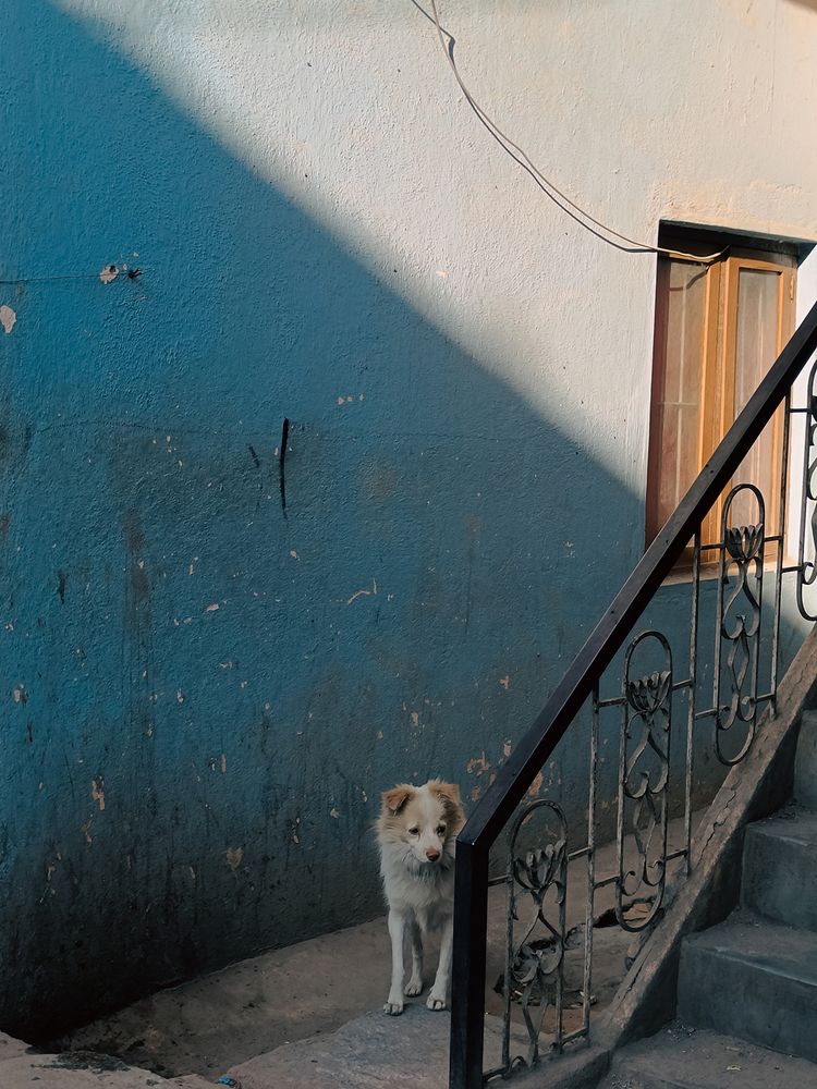 Photograph by A S Anandhu